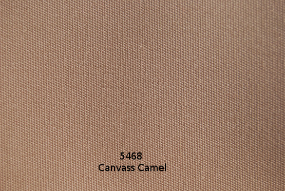 canvass-camel-5468