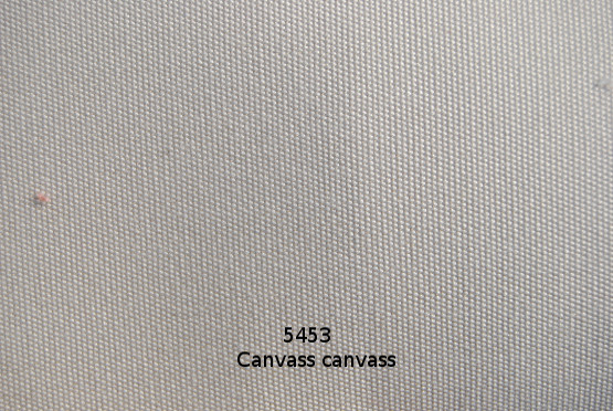canvass-canvass-5453
